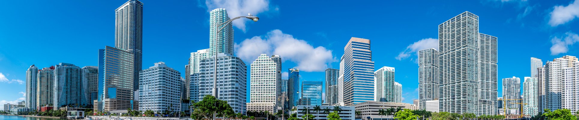Miami Skyline